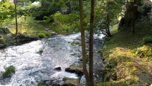 Im Schwäbischen: Leben am Fluss