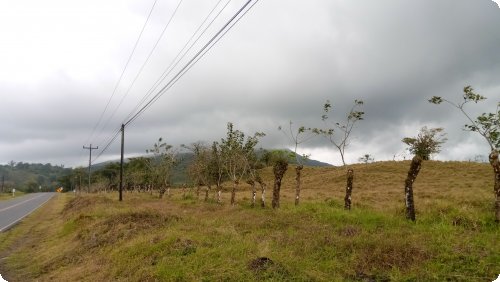 Leider wolkenverhangen: Vulkan Arenal